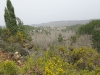Vista del barranco de Maimona